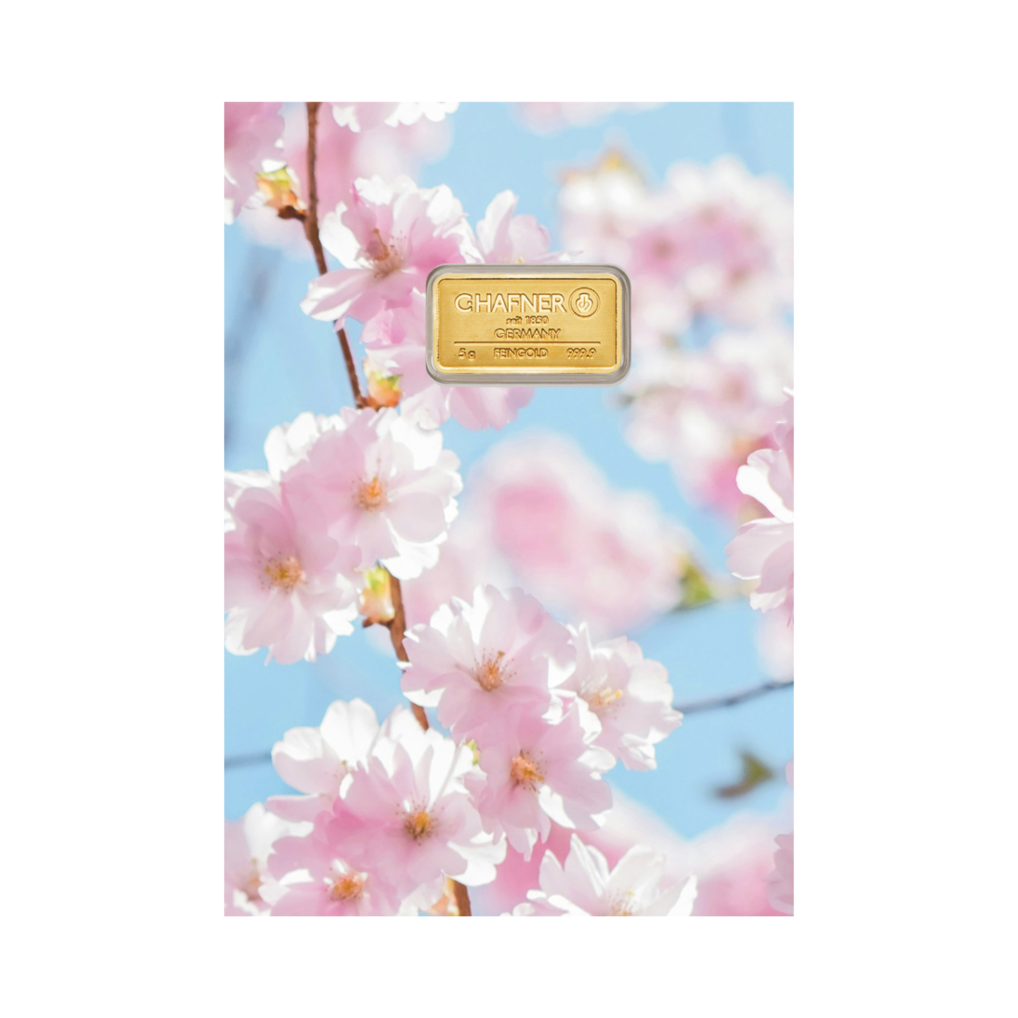 24K GULDTACKA C.HAFNER 10 G + SLEEVE KÖRSBÄRSBLOMMOR