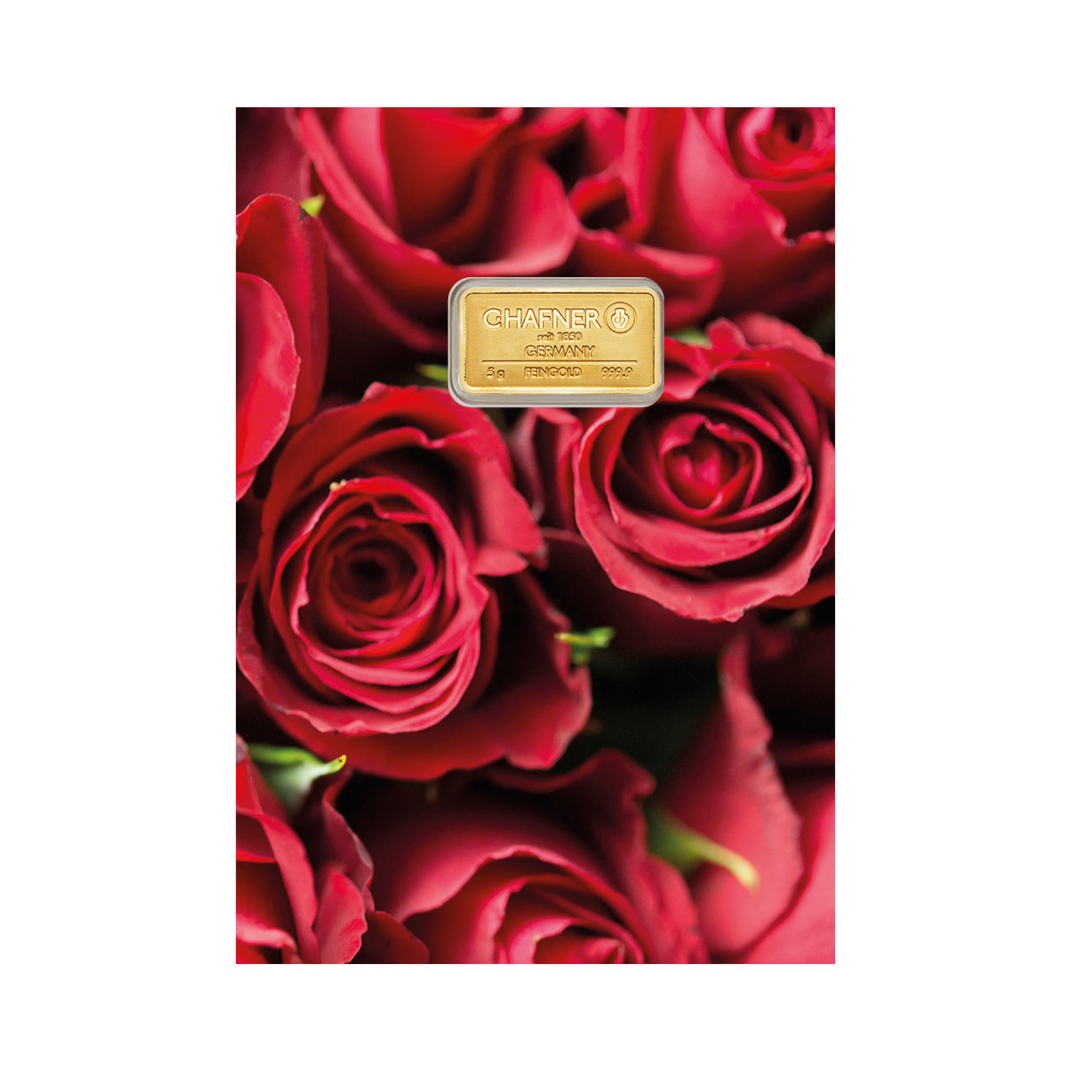 24K GULDTACKA C.HAFNER 10 G + SLEEVE ROSOR